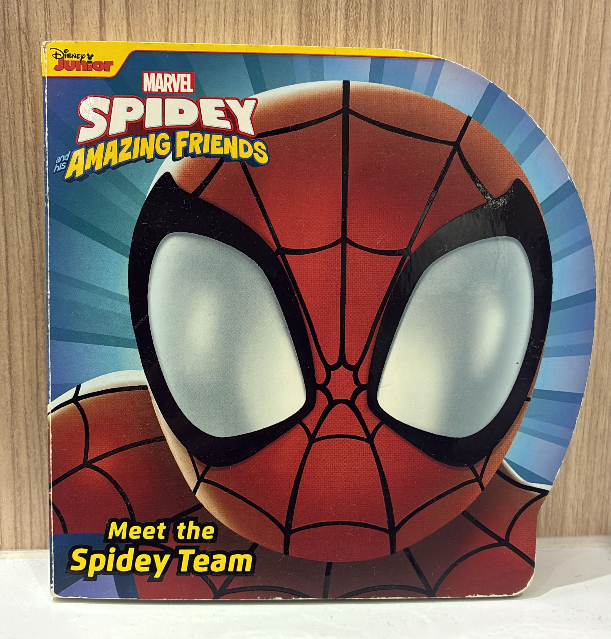 MARVEL SPIDEY AMAZING FRIENDS (MEET THE SPIDEY TEAM)
