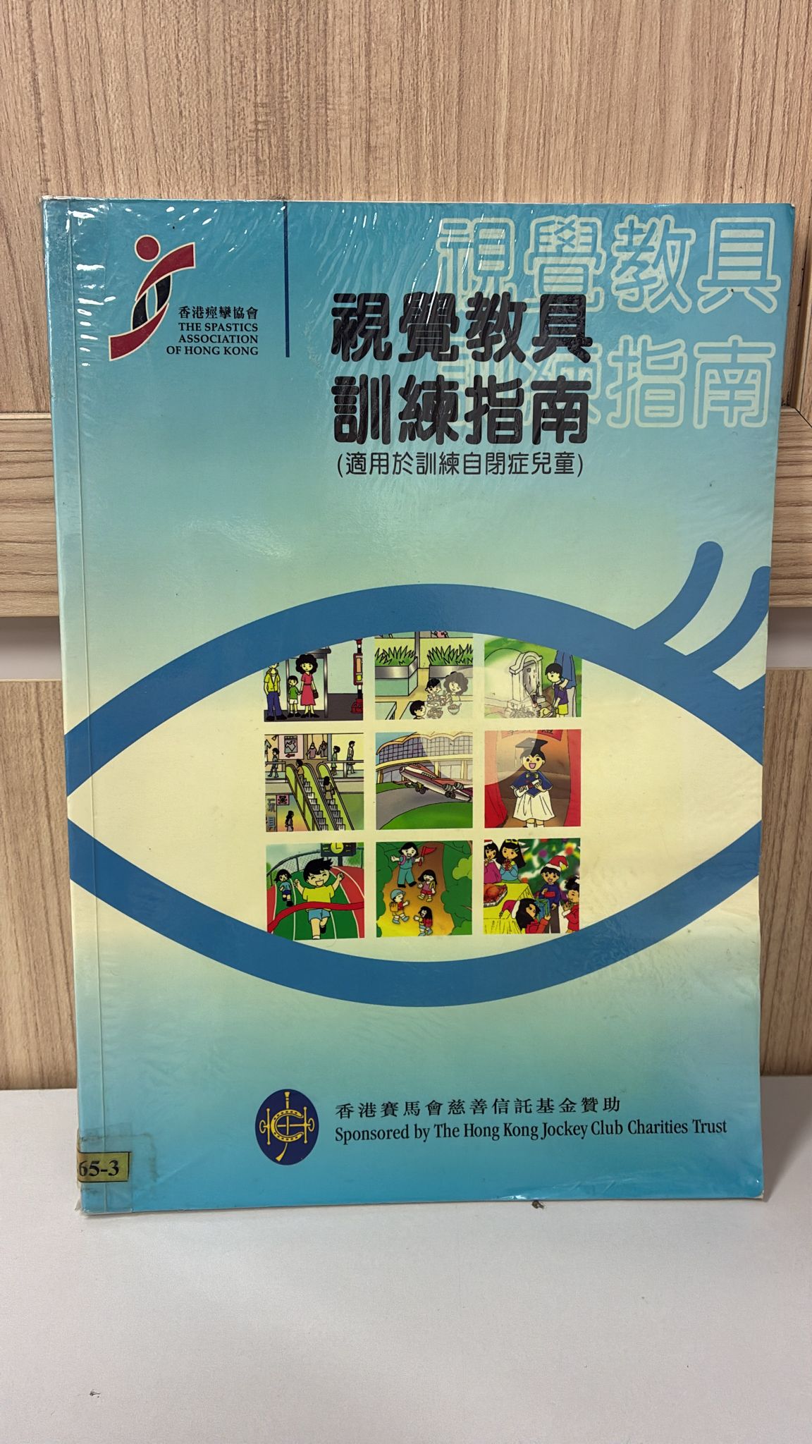 視覺教具訓練指南(適用於訓練自閉症兒童)