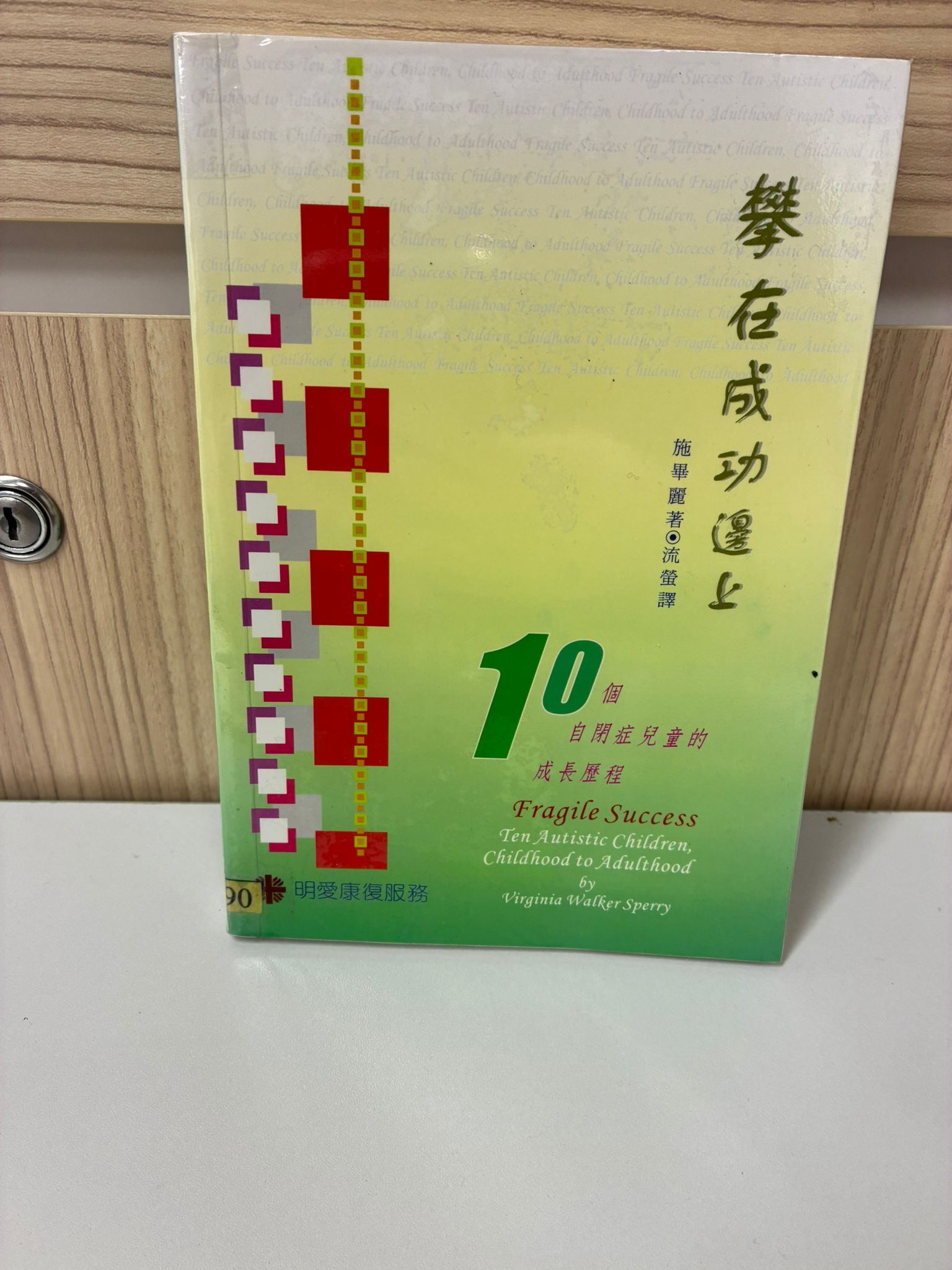 攀在成功邊上—10個自閉症兒童的成長歷程