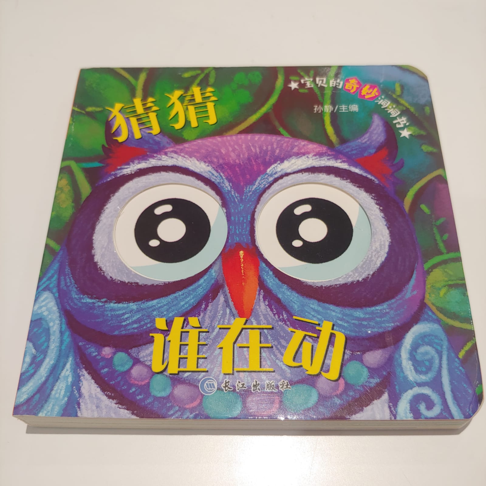 猜猜誰在動(貓頭鷹)