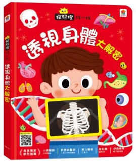 探照燈找一找：透視身體大解密